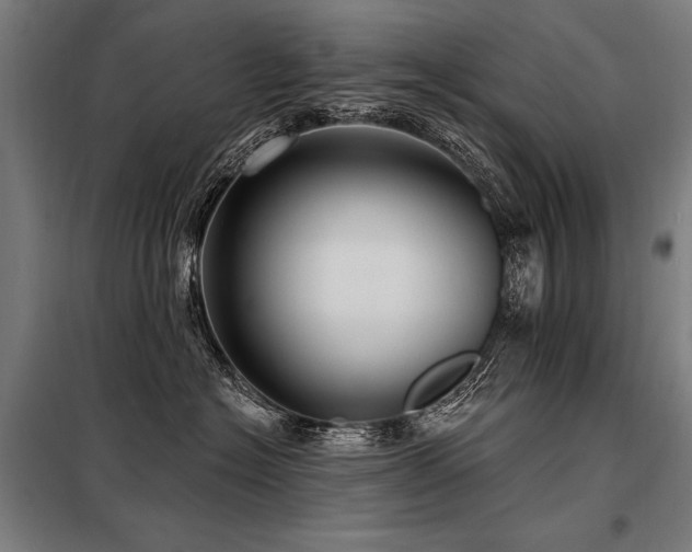 X0000098170574200804241158