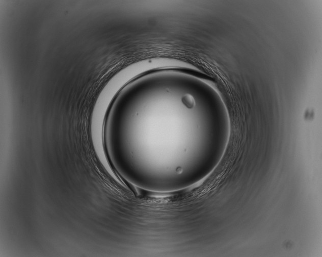 X0000098170576200804241158