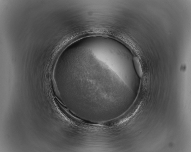 X0000098170577200804241158