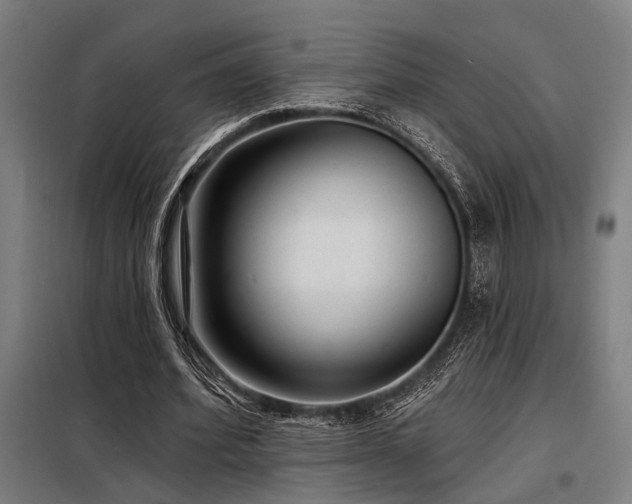 X0000098170580200804241158