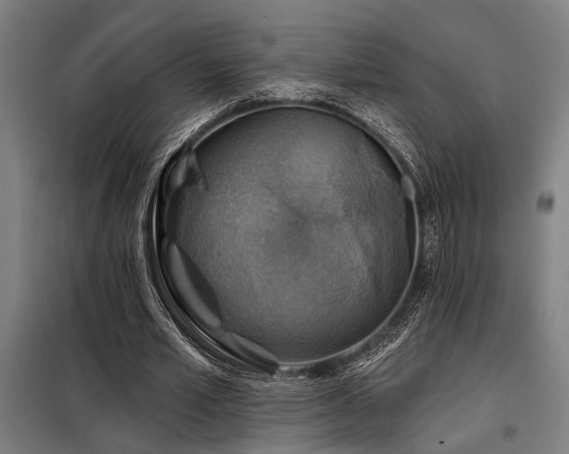 X0000098170581200804241158