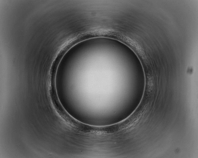 X0000098170582200804241158