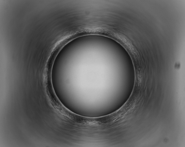 X0000098170583200804241158