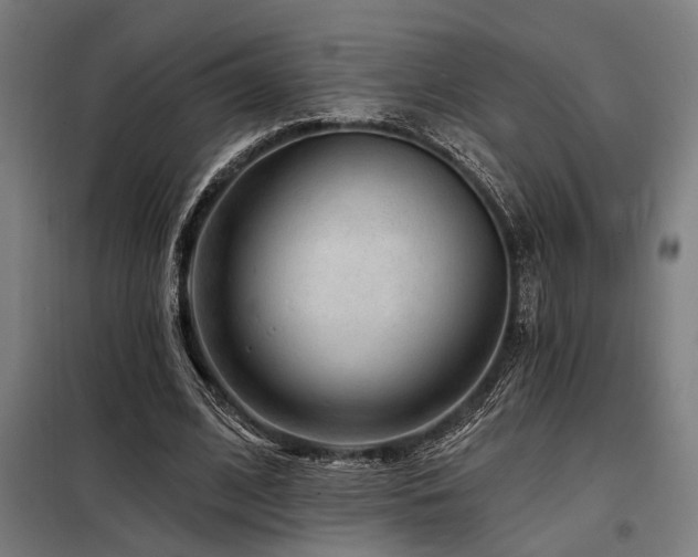 X0000098170584200804241158