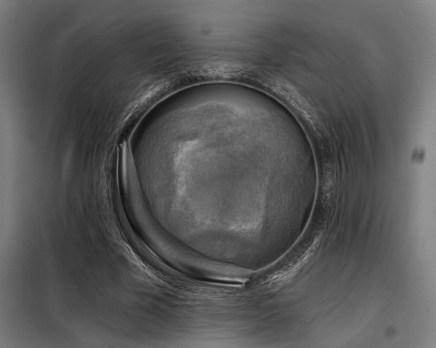 X0000098170585200804241158