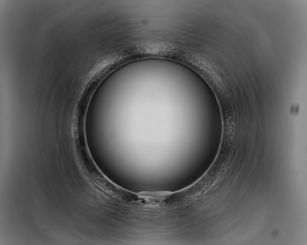 X0000098170587200804241158