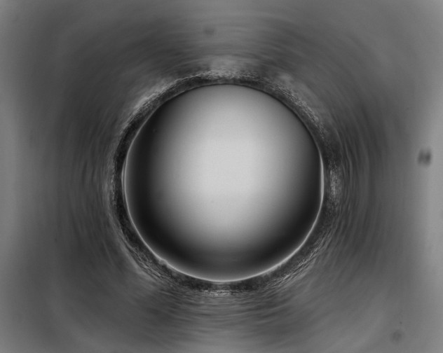 X0000098170588200804241158