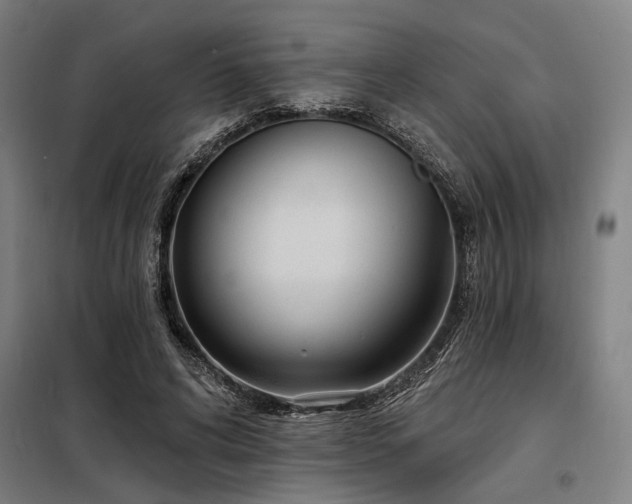 X0000098170592200804241157