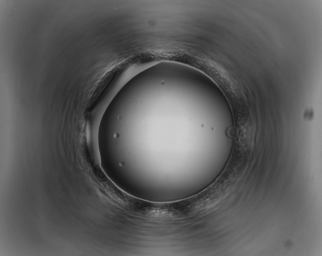 X0000098170596200804241157