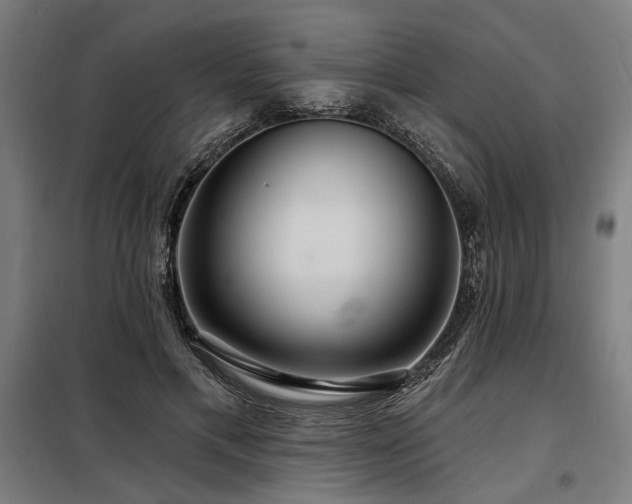 X0000098170597200804241157