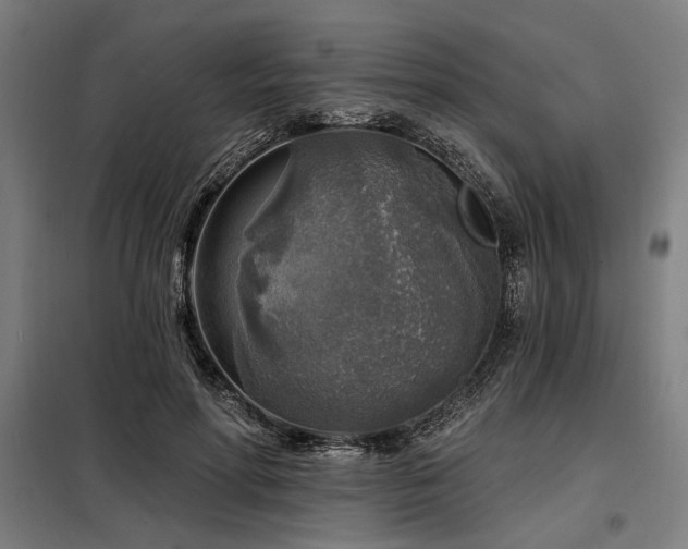 X0000098170598200804241157