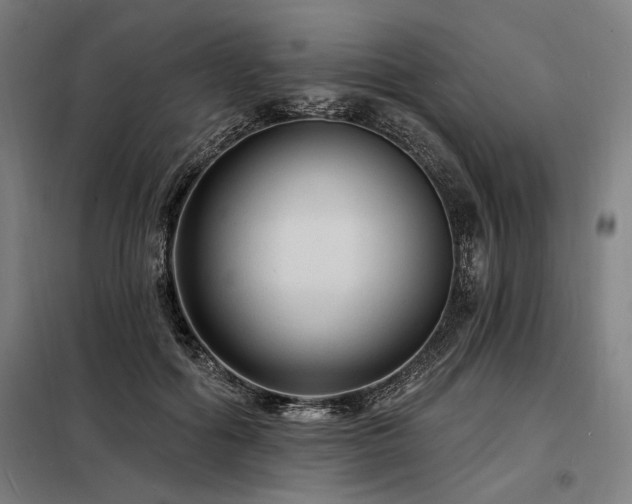 X0000098170602200804241157