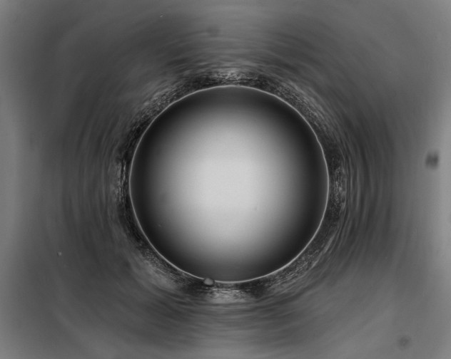 X0000098170605200804241157