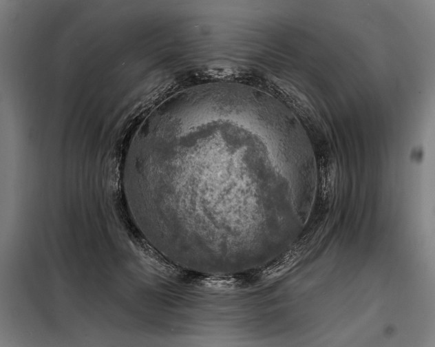 X0000098170606200804241157