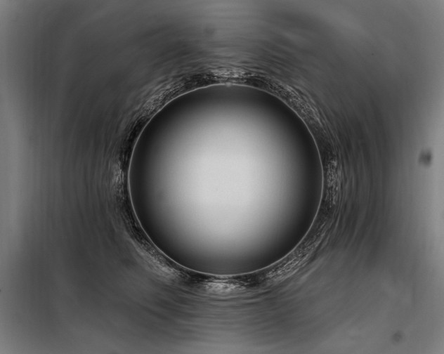 X0000098170614200804241157