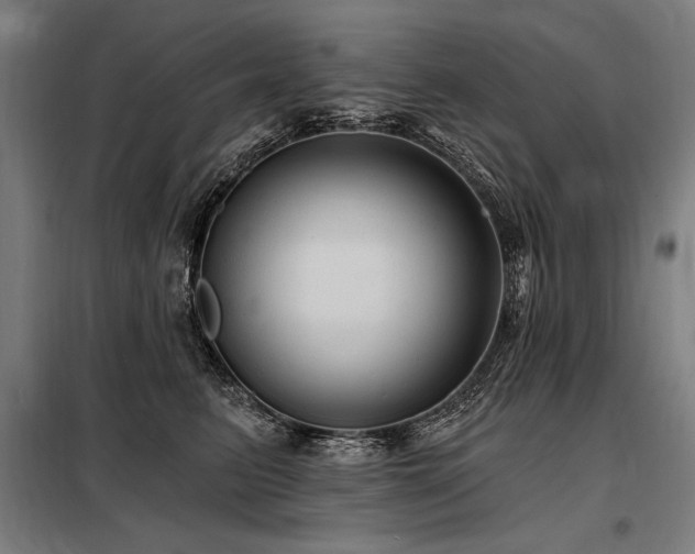 X0000098170615200804241157