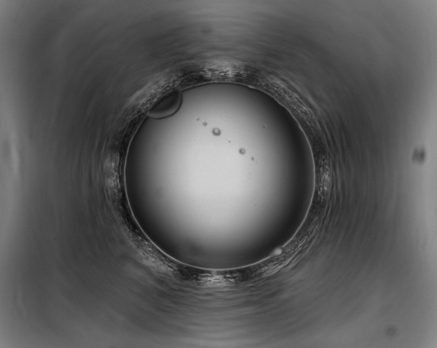 X0000098170616200804241157