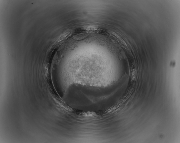 X0000098170618200804241157