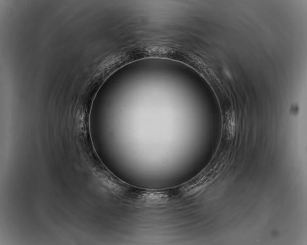 X0000098170619200804241157