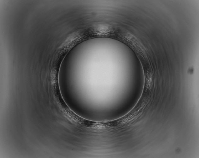 X0000098170620200804241157