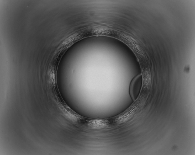 X0000098170622200804241157