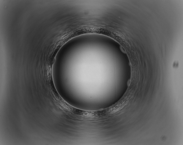 X0000098170624200804241157