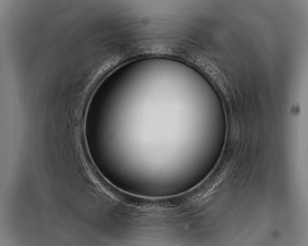 X0000098170625200804241156