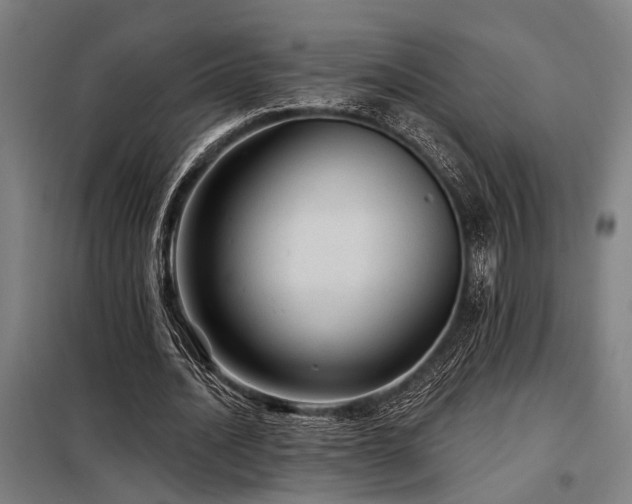 X0000098170628200804241156