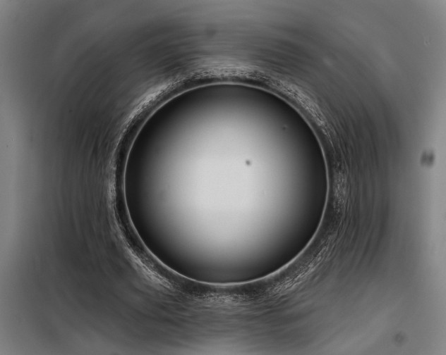 X0000098170629200804241156