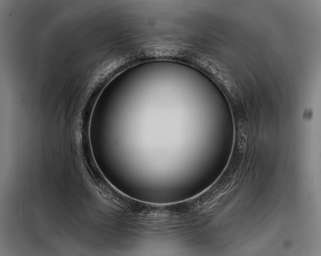 X0000098170631200804241156