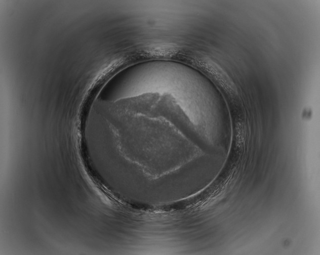 X0000098170634200804241156