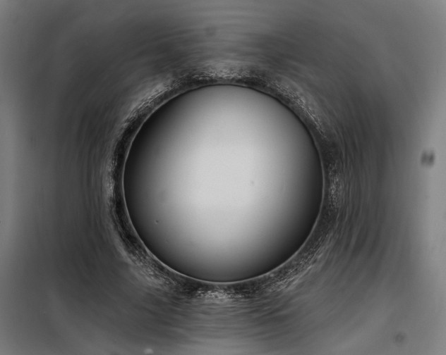 X0000098170635200804241156