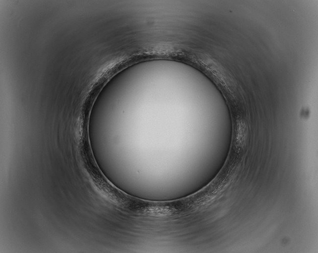 X0000098170636200804241156