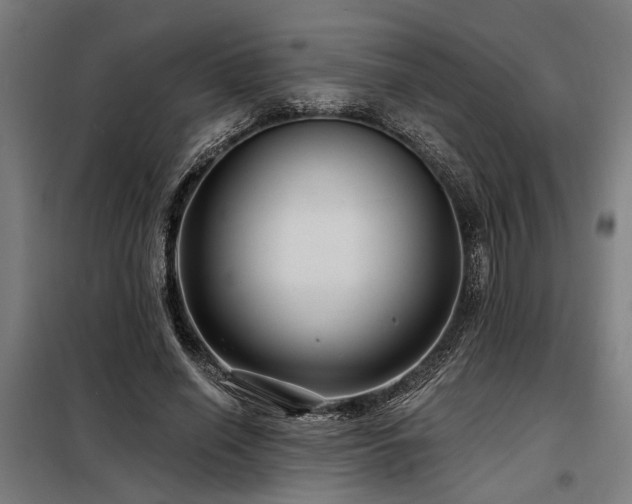 X0000098170638200804241156