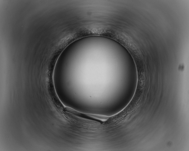 X0000098170639200804241157