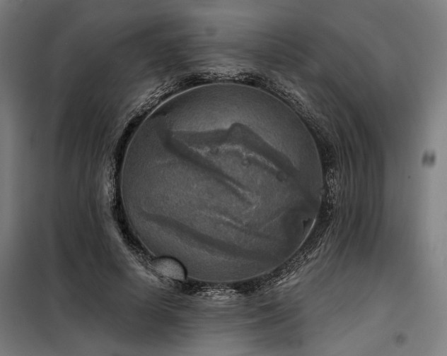 X0000098170642200804241157