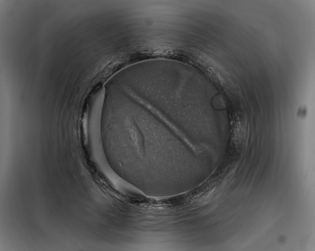 X0000098170643200804241157