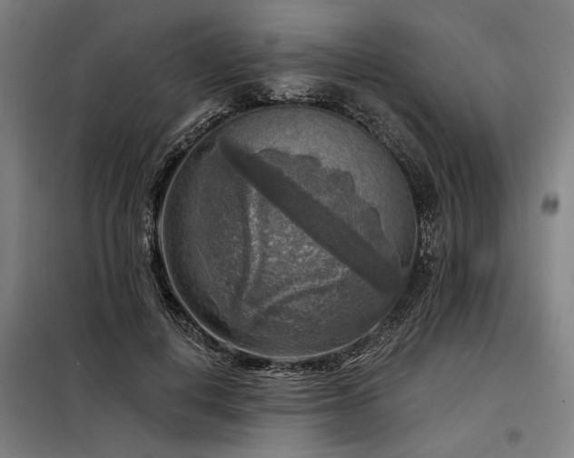 X0000098170648200804241157