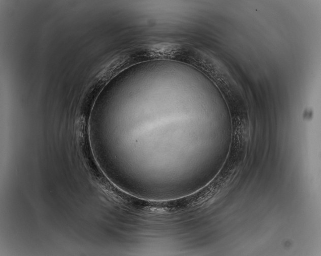 X0000098170649200804241157