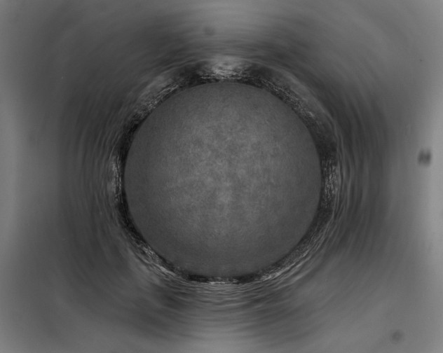 X0000098170651200804241157