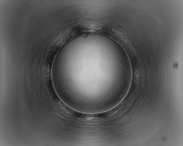 X0000098170657200804241157