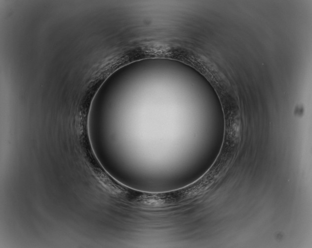 X0000098170658200804241157