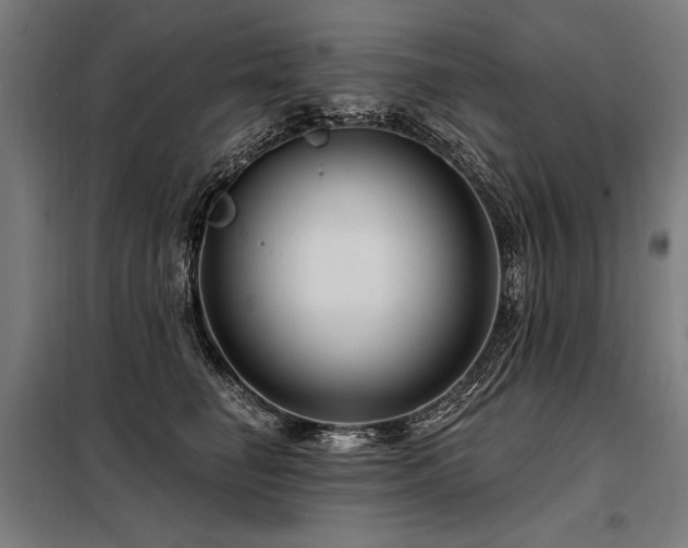 X0000098170662200804241157