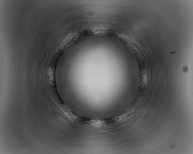 X0000098170667200804241157