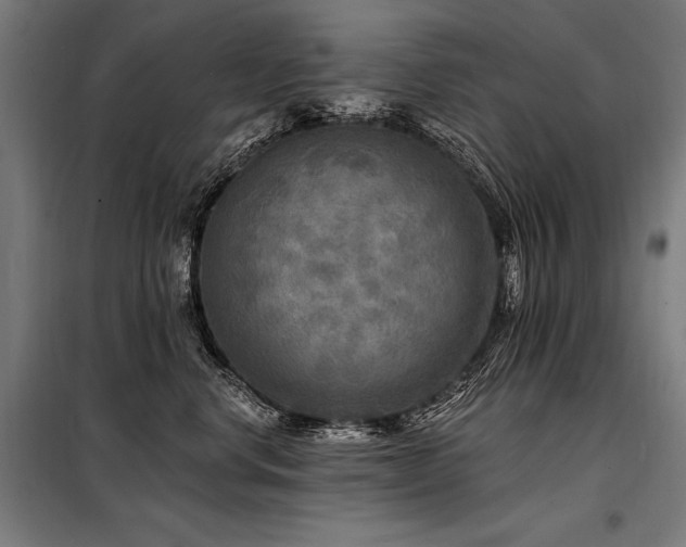 X0000098170668200804241157