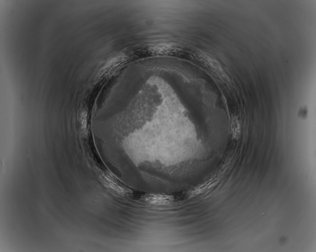 X0000098170670200804241157