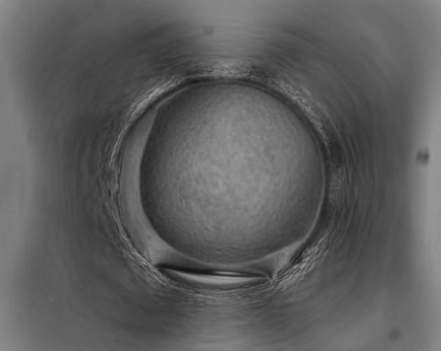 X0000098170673200804241156