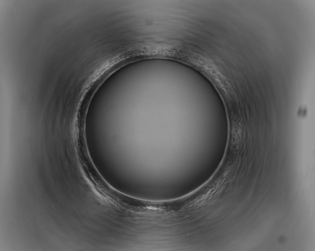 X0000098170674200804241156