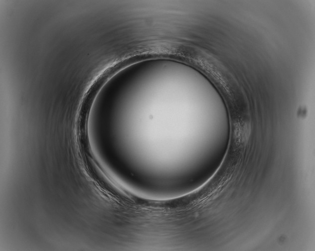 X0000098170676200804241156