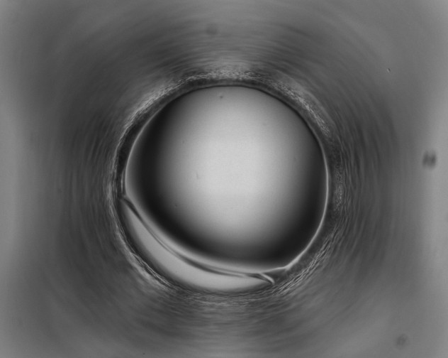 X0000098170677200804241156